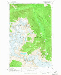 Download a high-resolution, GPS-compatible USGS topo map for Forbidden Peak, WA (1966 edition)