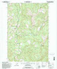 Download a high-resolution, GPS-compatible USGS topo map for French Butte, WA (1996 edition)
