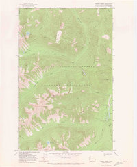 Download a high-resolution, GPS-compatible USGS topo map for Frosty Creek, WA (1973 edition)