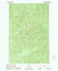 preview thumbnail of historical topo map of Skagit County, WA in 1989