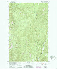 Download a high-resolution, GPS-compatible USGS topo map for Gillette Mtn, WA (1986 edition)