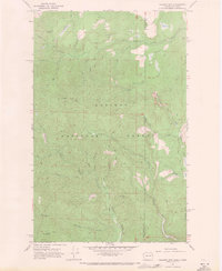 Download a high-resolution, GPS-compatible USGS topo map for Gleason Mtn, WA (1971 edition)