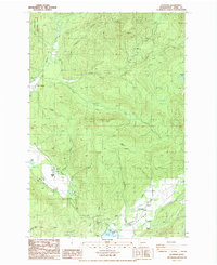 Download a high-resolution, GPS-compatible USGS topo map for Glenoma, WA (1987 edition)