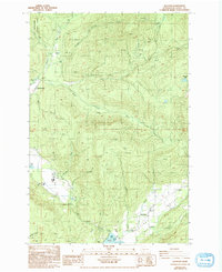 Download a high-resolution, GPS-compatible USGS topo map for Glenoma, WA (1993 edition)