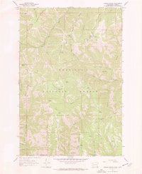 Download a high-resolution, GPS-compatible USGS topo map for Godman Spring, WA (1972 edition)