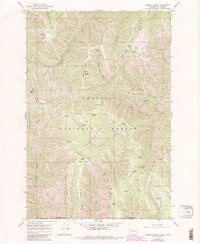 Download a high-resolution, GPS-compatible USGS topo map for Godman Spring, WA (1983 edition)