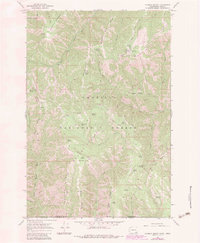 Download a high-resolution, GPS-compatible USGS topo map for Godman Spring, WA (1983 edition)