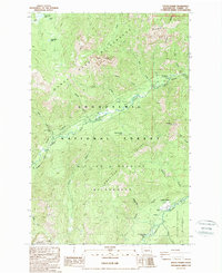 Download a high-resolution, GPS-compatible USGS topo map for Goose Prairie, WA (1988 edition)
