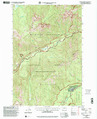Download a high-resolution, GPS-compatible USGS topo map for Goose Prairie, WA (2001 edition)