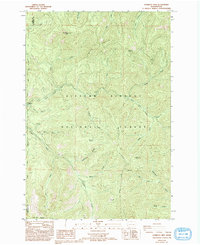 Download a high-resolution, GPS-compatible USGS topo map for Gumboot Mtn, WA (1994 edition)