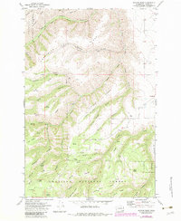 preview thumbnail of historical topo map of Asotin County, WA in 1971
