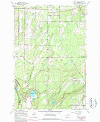 Download a high-resolution, GPS-compatible USGS topo map for Harts Lake, WA (1986 edition)