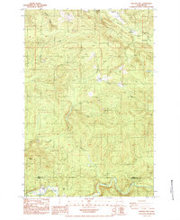 Download a high-resolution, GPS-compatible USGS topo map for Hatchet Mtn, WA (1984 edition)