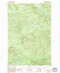 Download a high-resolution, GPS-compatible USGS topo map for Hatchet Mtn, WA (1994 edition)