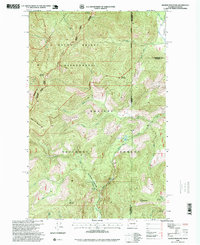 Download a high-resolution, GPS-compatible USGS topo map for Helmer Mountain, WA (1999 edition)