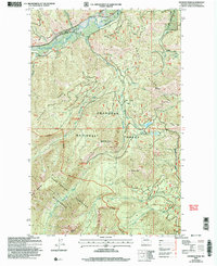 Download a high-resolution, GPS-compatible USGS topo map for Hoodoo Peak, WA (2006 edition)