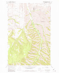 Download a high-resolution, GPS-compatible USGS topo map for Hopkins Ridge, WA (1981 edition)