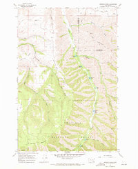 Download a high-resolution, GPS-compatible USGS topo map for Hopkins Ridge, WA (1971 edition)
