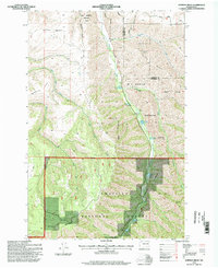 Download a high-resolution, GPS-compatible USGS topo map for Hopkins Ridge, WA (1998 edition)