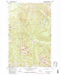 Download a high-resolution, GPS-compatible USGS topo map for Illabot Peaks, WA (1982 edition)