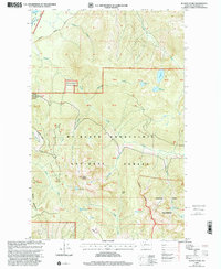 Download a high-resolution, GPS-compatible USGS topo map for Illabot Peaks, WA (2002 edition)