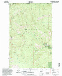 Download a high-resolution, GPS-compatible USGS topo map for Independent Mtn, WA (1996 edition)