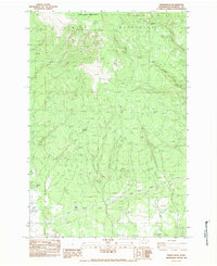 Download a high-resolution, GPS-compatible USGS topo map for Indian Rock, WA (1983 edition)