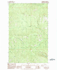 Download a high-resolution, GPS-compatible USGS topo map for Jackknife Mtn, WA (1985 edition)
