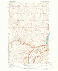 Download a high-resolution, GPS-compatible USGS topo map for Jameson Lake West, WA (1966 edition)