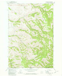 Download a high-resolution, GPS-compatible USGS topo map for Kooskooskie, WA (1980 edition)