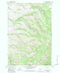Download a high-resolution, GPS-compatible USGS topo map for Kooskooskie, WA (1983 edition)