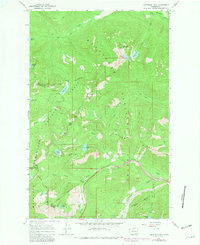 Download a high-resolution, GPS-compatible USGS topo map for Labyrinth Mtn, WA (1981 edition)