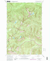 Download a high-resolution, GPS-compatible USGS topo map for Labyrinth Mtn, WA (1987 edition)