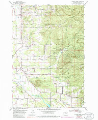 Download a high-resolution, GPS-compatible USGS topo map for Lacamas Creek, WA (1986 edition)