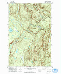 preview thumbnail of historical topo map of King County, WA in 1993