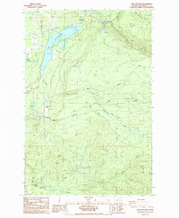 Download a high-resolution, GPS-compatible USGS topo map for Lake Kapowsin, WA (1987 edition)