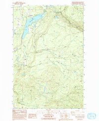 Download a high-resolution, GPS-compatible USGS topo map for Lake Kapowsin, WA (1994 edition)