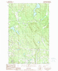 Download a high-resolution, GPS-compatible USGS topo map for Lake Roesiger, WA (1989 edition)
