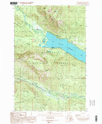 Download a high-resolution, GPS-compatible USGS topo map for Lake Wenatchee, WA (1989 edition)