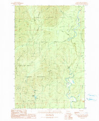 preview thumbnail of historical topo map of Grays Harbor County, WA in 1990