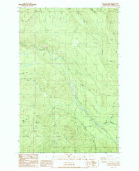Download a high-resolution, GPS-compatible USGS topo map for Le Dout Creek, WA (1987 edition)