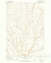 Download a high-resolution, GPS-compatible USGS topo map for Lenzie Ranch, WA (1966 edition)