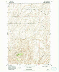 Download a high-resolution, GPS-compatible USGS topo map for Levey NE, WA (1992 edition)