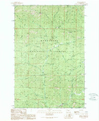 preview thumbnail of historical topo map of Kittitas County, WA in 1989
