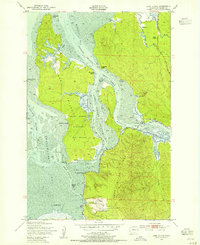 Download a high-resolution, GPS-compatible USGS topo map for Long Island, WA (1955 edition)