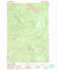 Download a high-resolution, GPS-compatible USGS topo map for Lookout Mtn, WA (1994 edition)