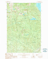 Download a high-resolution, GPS-compatible USGS topo map for Lost Lake, WA (1989 edition)