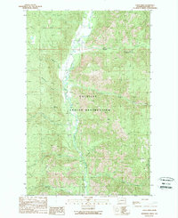 Download a high-resolution, GPS-compatible USGS topo map for Louie Creek, WA (1989 edition)