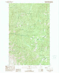 Download a high-resolution, GPS-compatible USGS topo map for Loup Loup Summit, WA (1989 edition)