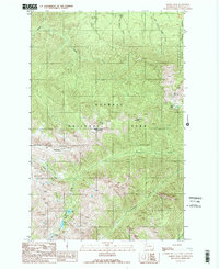 Download a high-resolution, GPS-compatible USGS topo map for Maiden Peak, WA (1990 edition)
